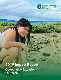CE&O 2019 Report Cover