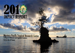 2010 Impact Report Cover