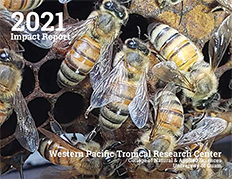 2021 Impact Report Cover 2021 Impact Report Cover