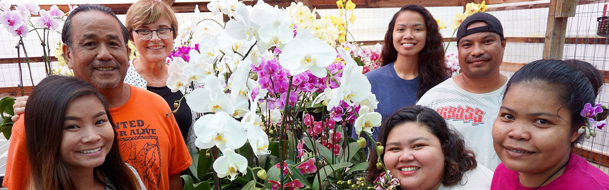 Tissue culture lab team Tissue culture lab team LtoR: Kamile Wang, Ricardo Lizama, Alicja Wiecko, Jaena Taitagua, Alexander Chingyan, Alyanna Del Rosario, Edwina Chiroo.