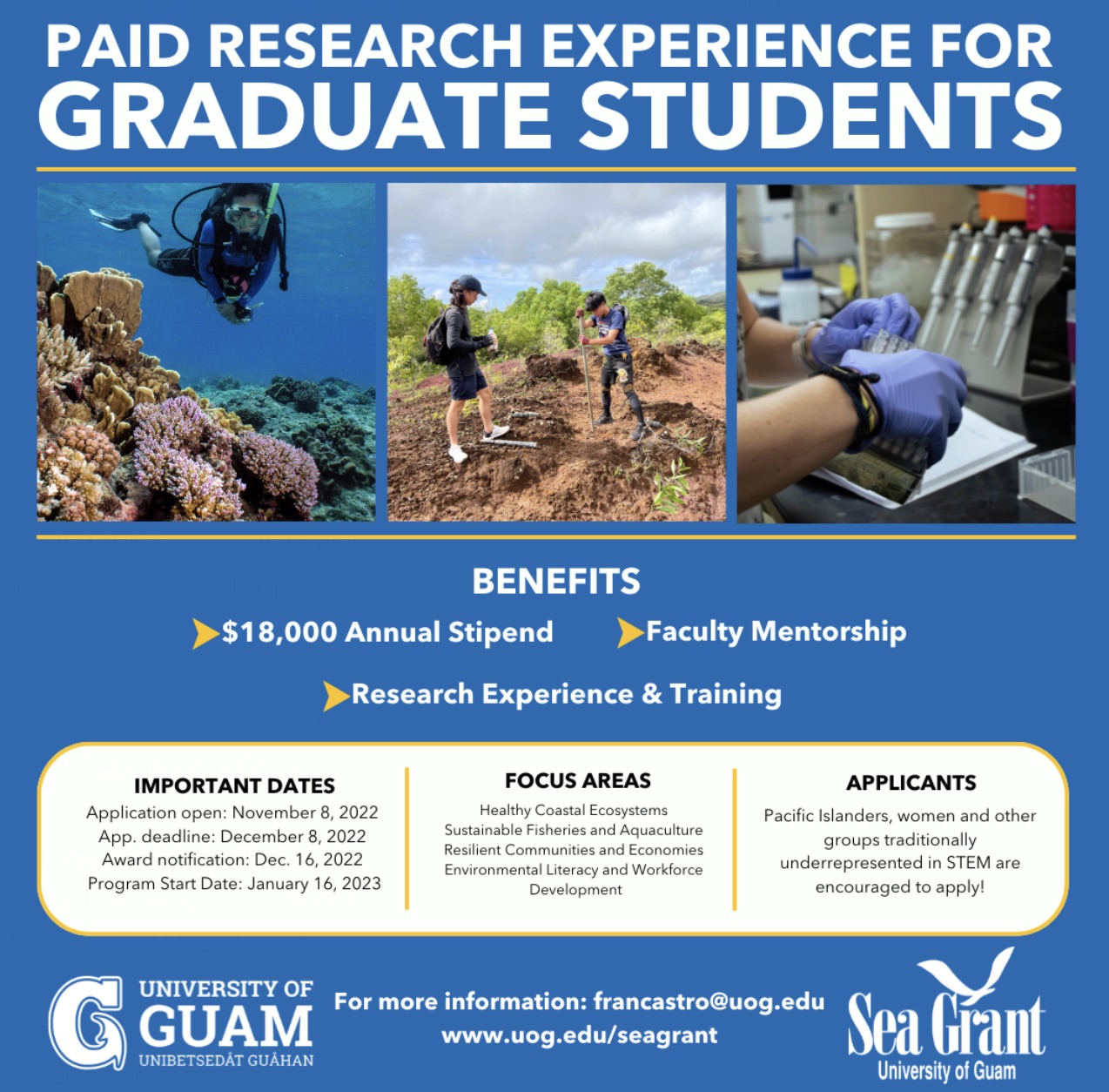 Grad Research Experience Flyer