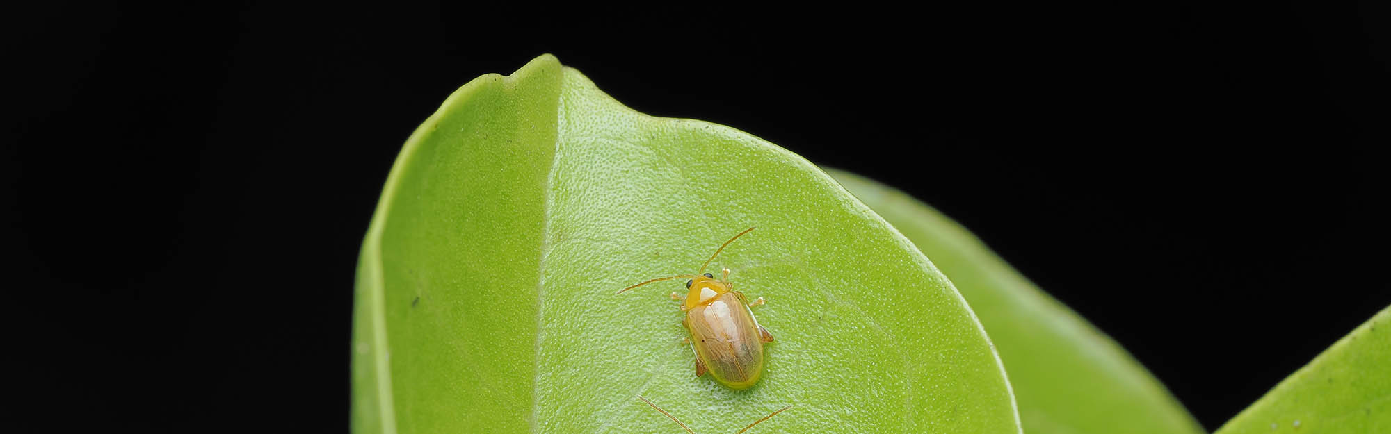 Photo by Alfred Daniel Johnson