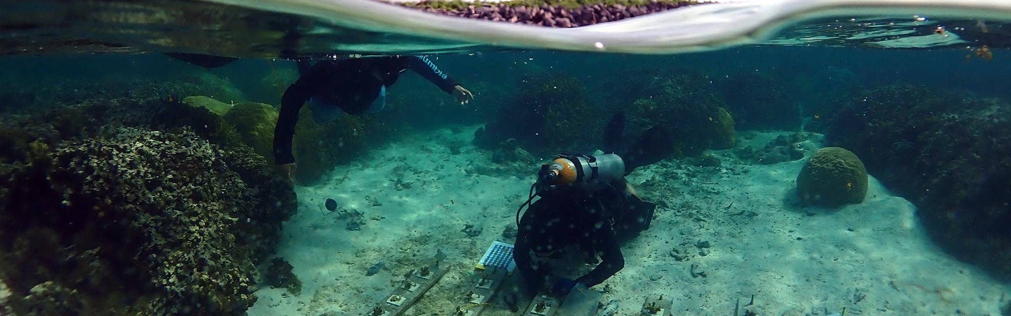 Title 2 Description 2