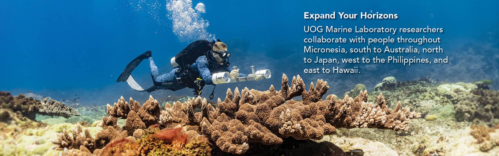 Title Researcher conducts reef survey.