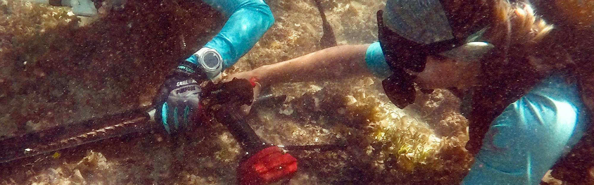 Fujimura Lab deploys instruments Fujimura Lab deploys instruments