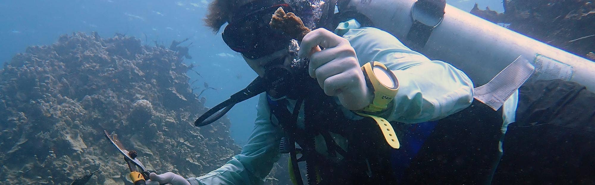 Title 2 Description 2