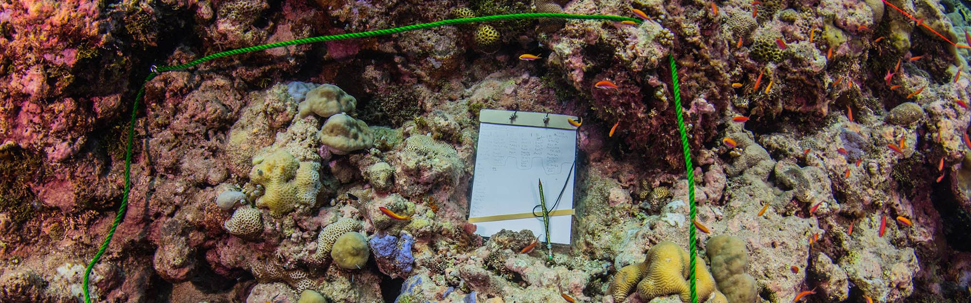 Under water survey tablet. Underwater survey tablet.