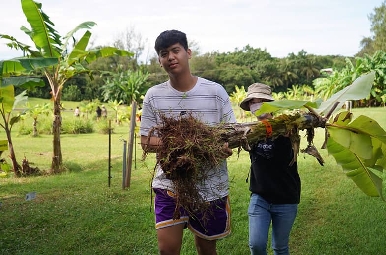 UOG students carry uprooted banana tree on class trip