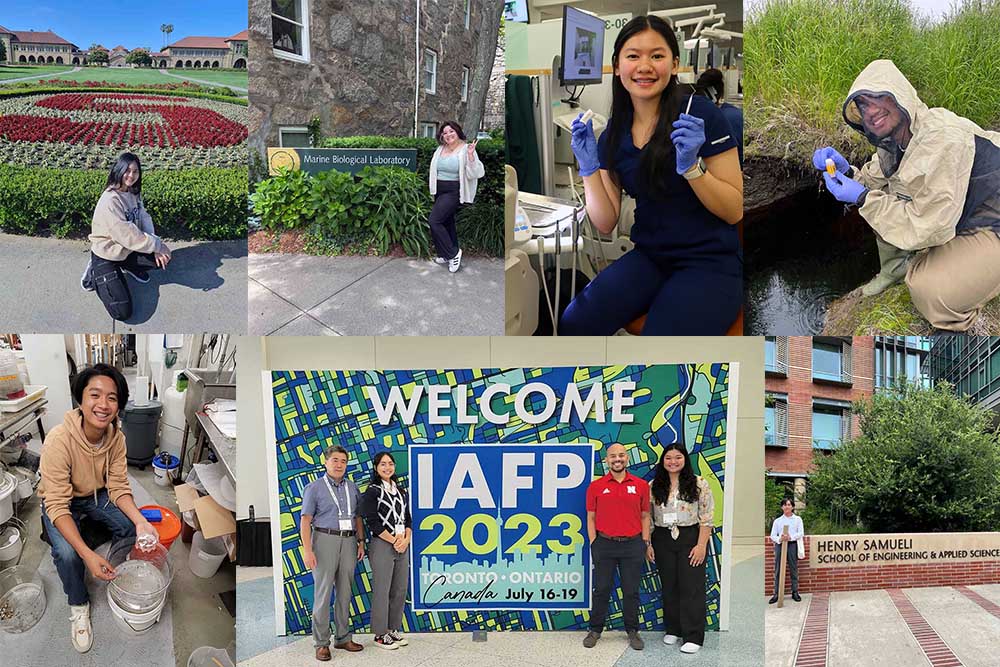 Photo collage of students at various summer programs