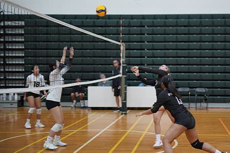 Team member in black jersey spikes ball to opposing team