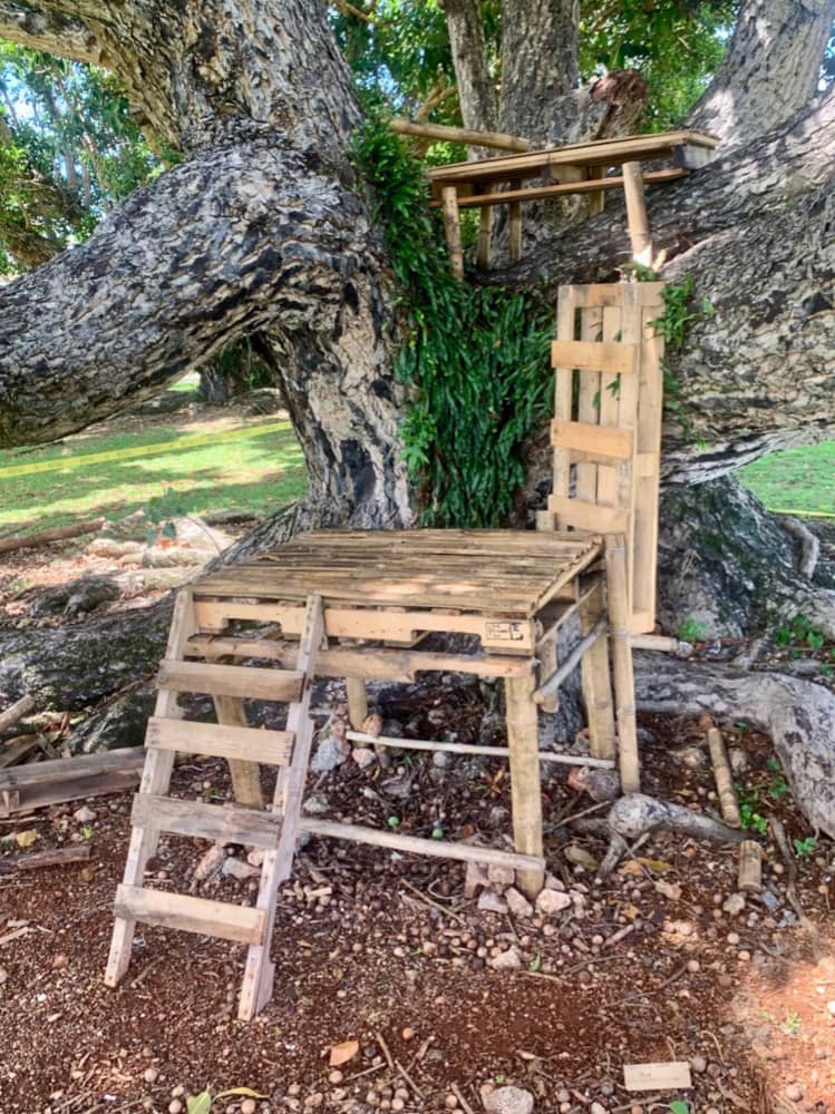 As part of their final class project, UOG Environmental Art students transformed a tree near the RFK Library into a thoughtful installation about community and connection. On view through June 30.