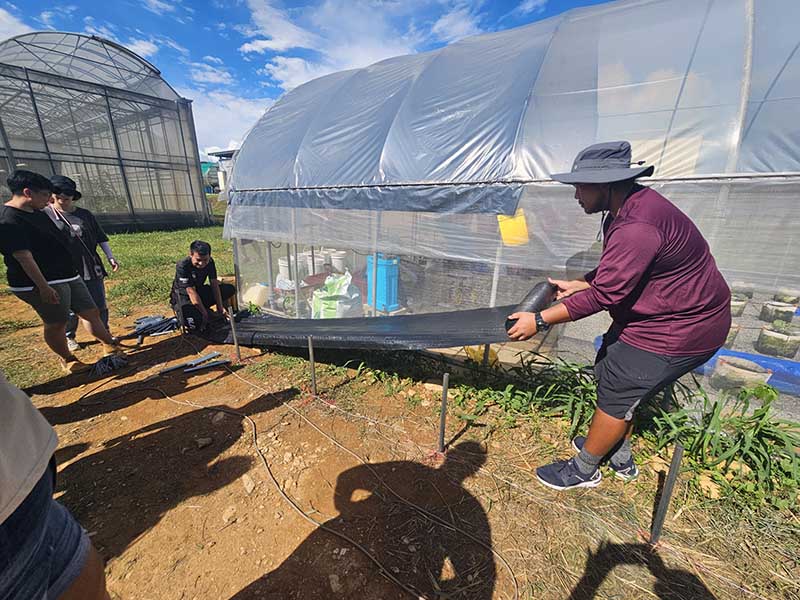 Photo of a student rolling out a tarp next to a greenhouse