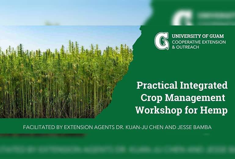 Workshop title and image of crops from flyer