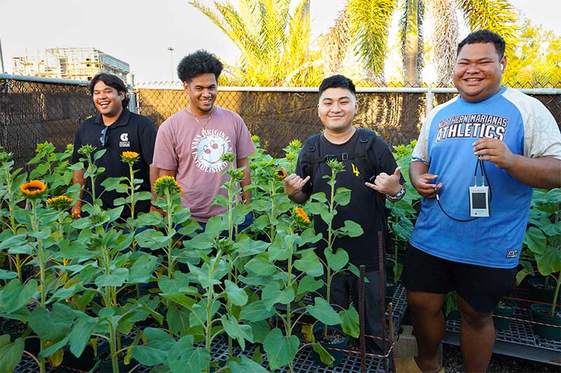 (From left) Franklin Fujihira, Timotheo Silbanuz, Joshua Artuz, and Lyle Andrew Four students stand behind tall sunflowers in a nursery