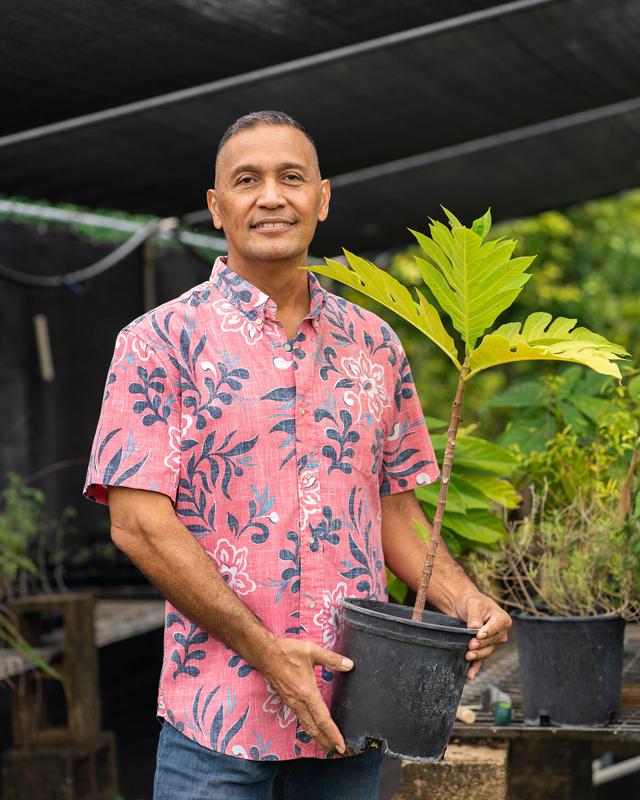 arborist Roland Quitugua