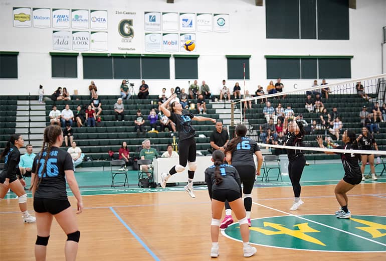 Volleyball player in black jersey spikes ball to opposing team