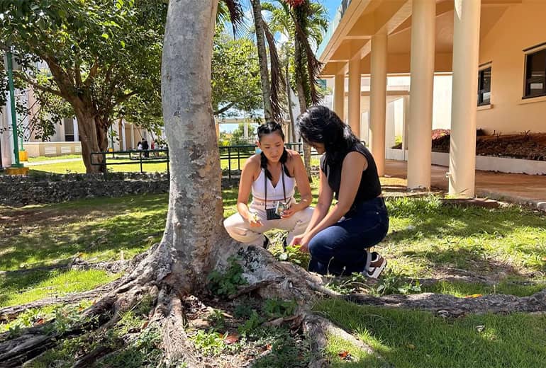 Two students observe nature on UOG campus