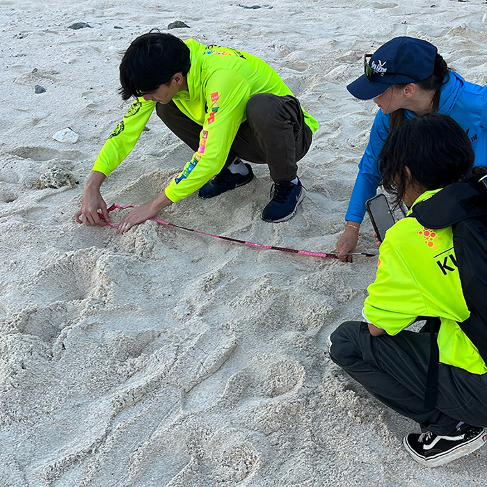 Conservation Corps members on the beach