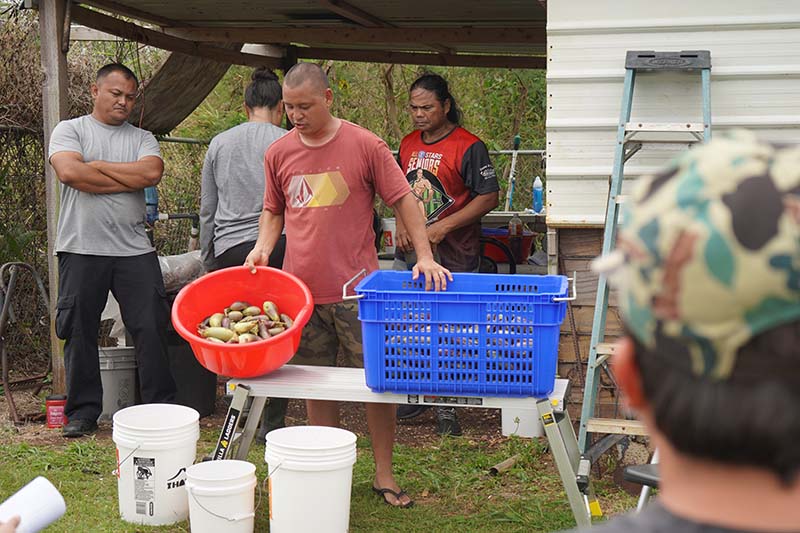 Guam farmer Glenn Takai demonstrates for others involved in agricultural production how he tracks yield data in his farm records. Takai is a participating farmer in a University of Guam study to determine the cost of production for 15 high-value crops in Guam. A man holding a bucket filled with eggplant