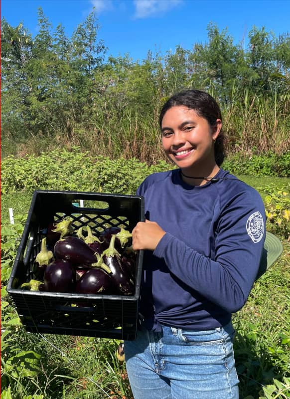 Katherine Perez carries a harvest of eggplants out in the field