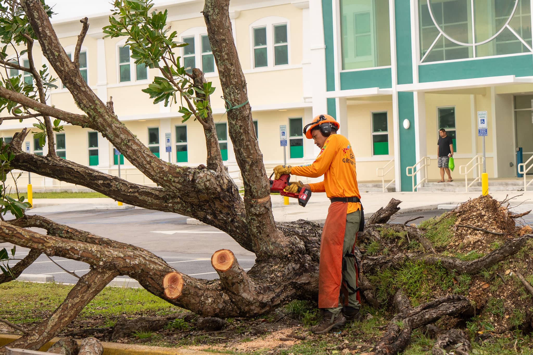 G3 Conservation Corps member removing downed tree with chainsaw