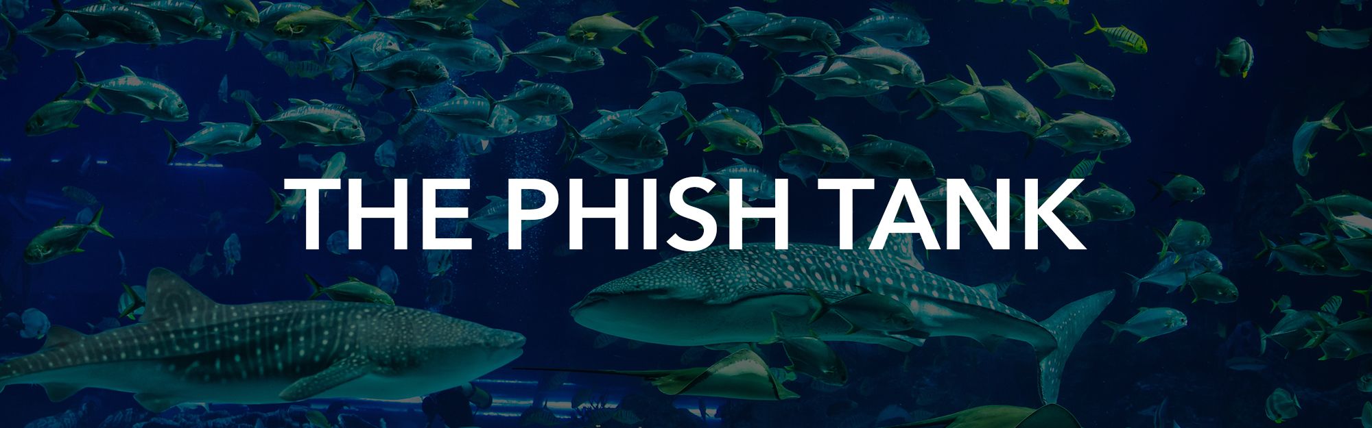 The Phish Tank Banner