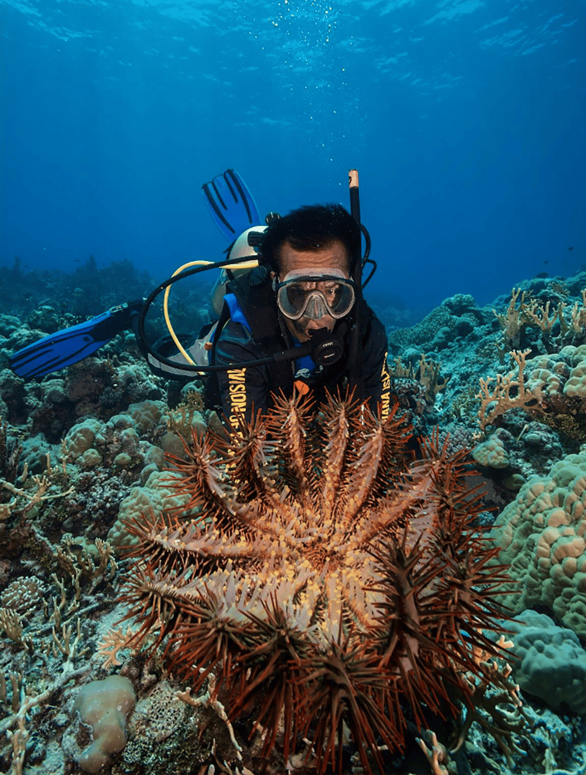 Triton underwater researching about corals in Guam